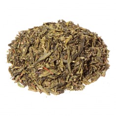 Menthe verte BIO