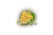 Class Vin